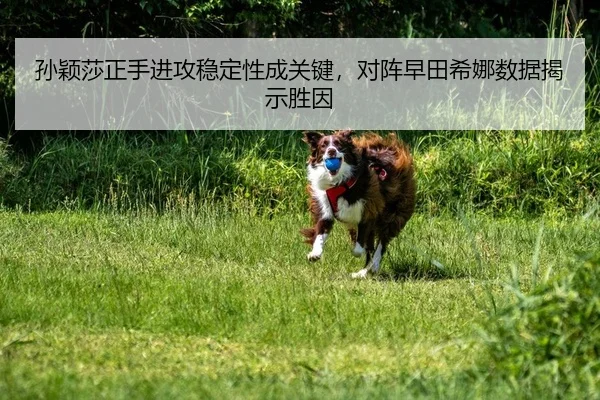 孙颖莎正手进攻稳定性成关键，对阵早田希娜数据揭示胜因